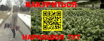 кокс Аргун