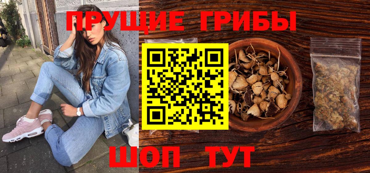 Галлюциногенные грибы Cubensis  купить наркоту  Псилоцибиновые грибы MAGIC MUSHROOMS  Асбест  Вход с VPN 